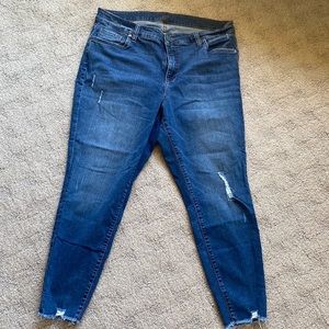 KUT FROM THE KLOTH
Dayna Skinny Jean
18W | Indigo